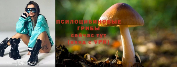 прущие крисы Верхнеуральск