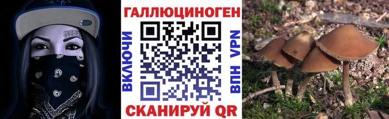 купить наркотики сайты  Верхоянск  Псилоцибиновые грибы MAGIC MUSHROOMS 